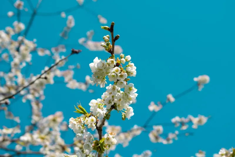 A Year of Sniffles: Reading the Seasons Behind Your Symptoms